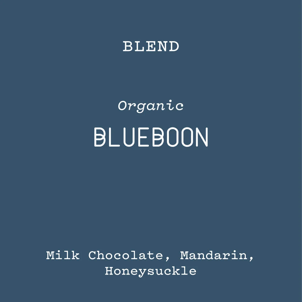 Blueboon - Image 2