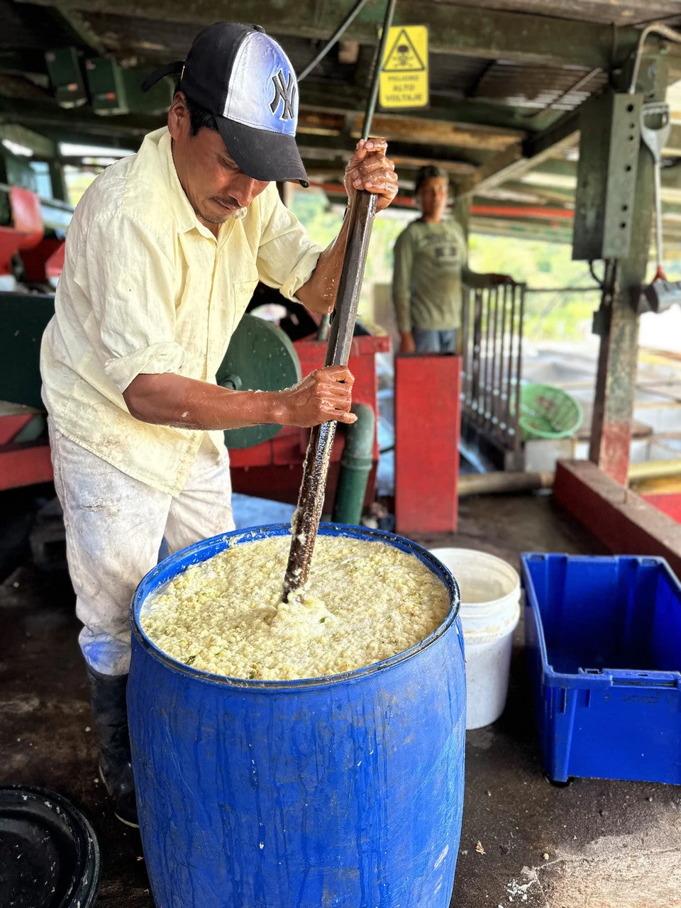 Guatemala Santa Ana Pineapple Process - Image 6