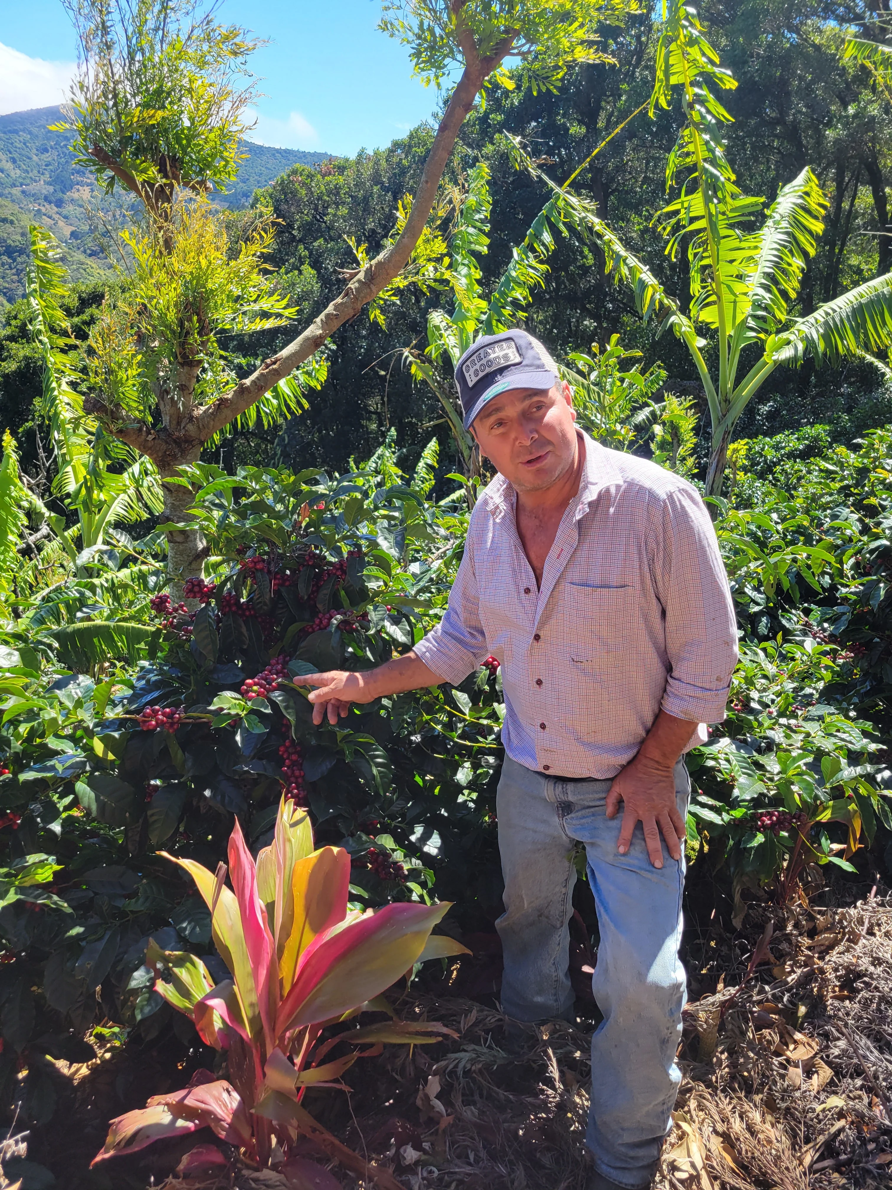Take Me Home - Costa Rica - Image 2
